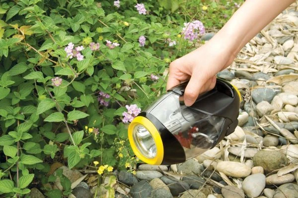 Deluxe 5 In 1 LED Lumière