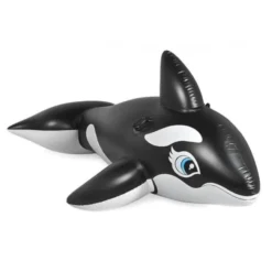 Baleine à Chevaucher